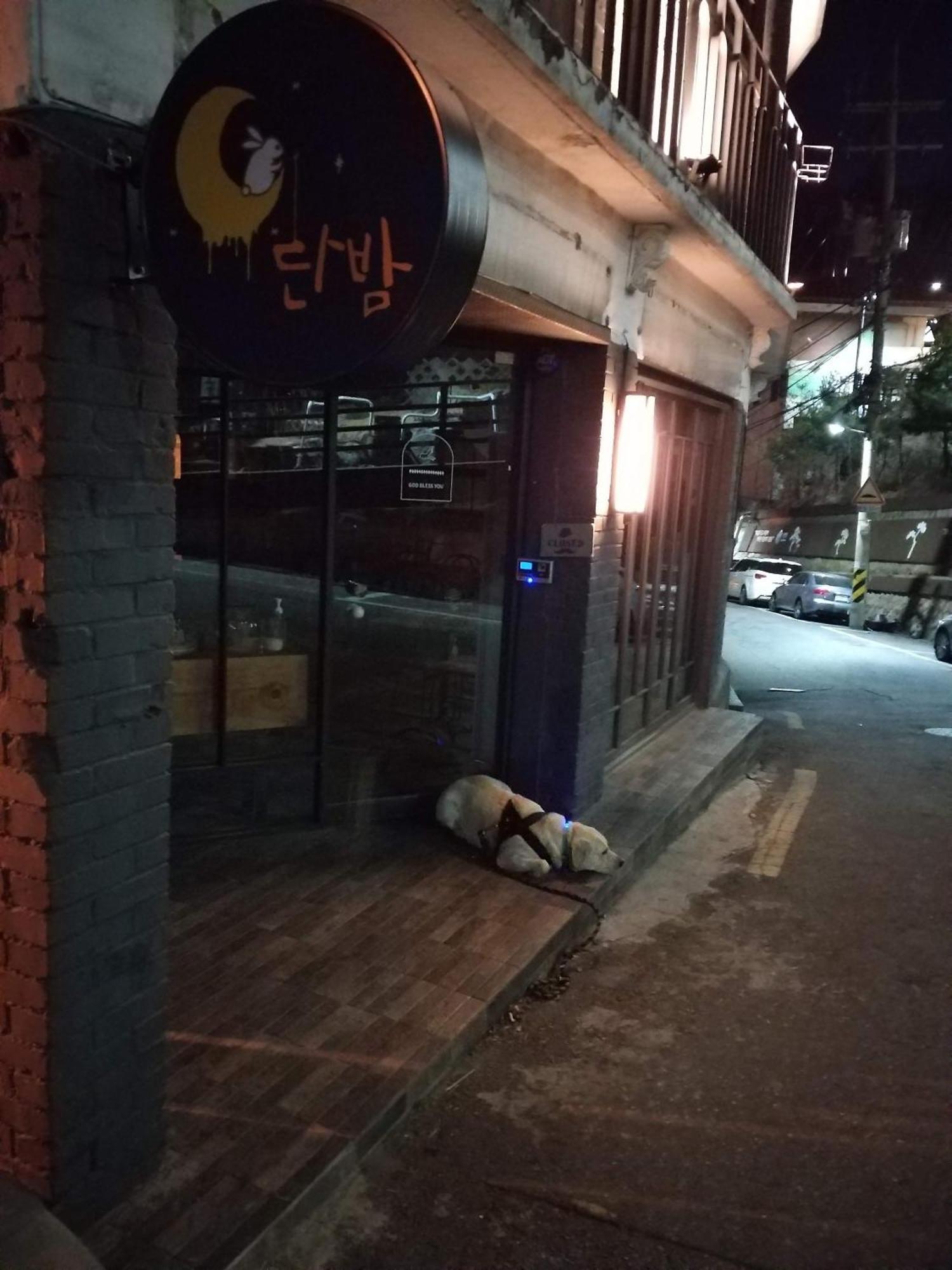 Newly Renovated 2 Bedroom Apartment #7 Seoul Ngoại thất bức ảnh
