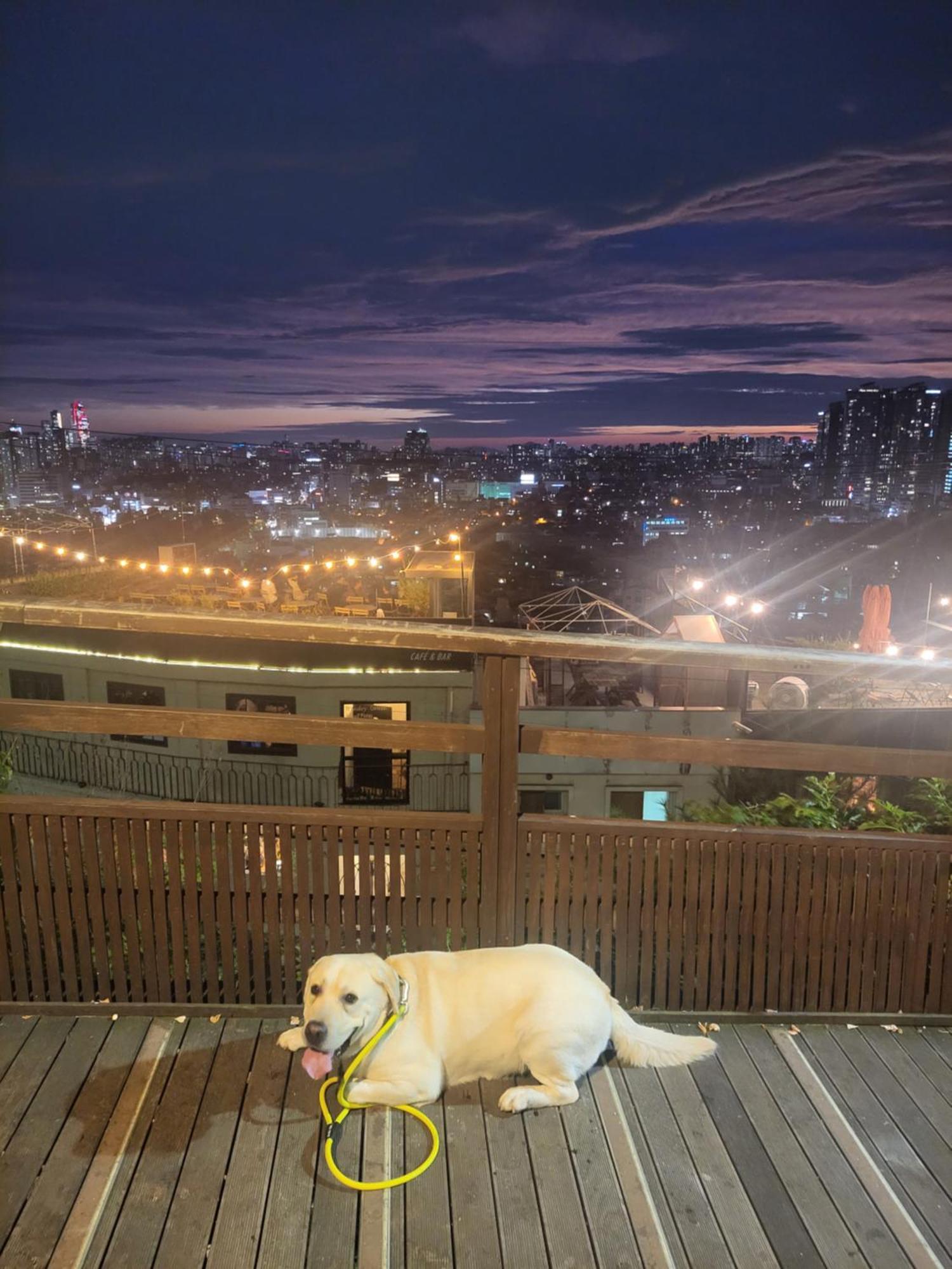 Newly Renovated 2 Bedroom Apartment #7 Seoul Ngoại thất bức ảnh