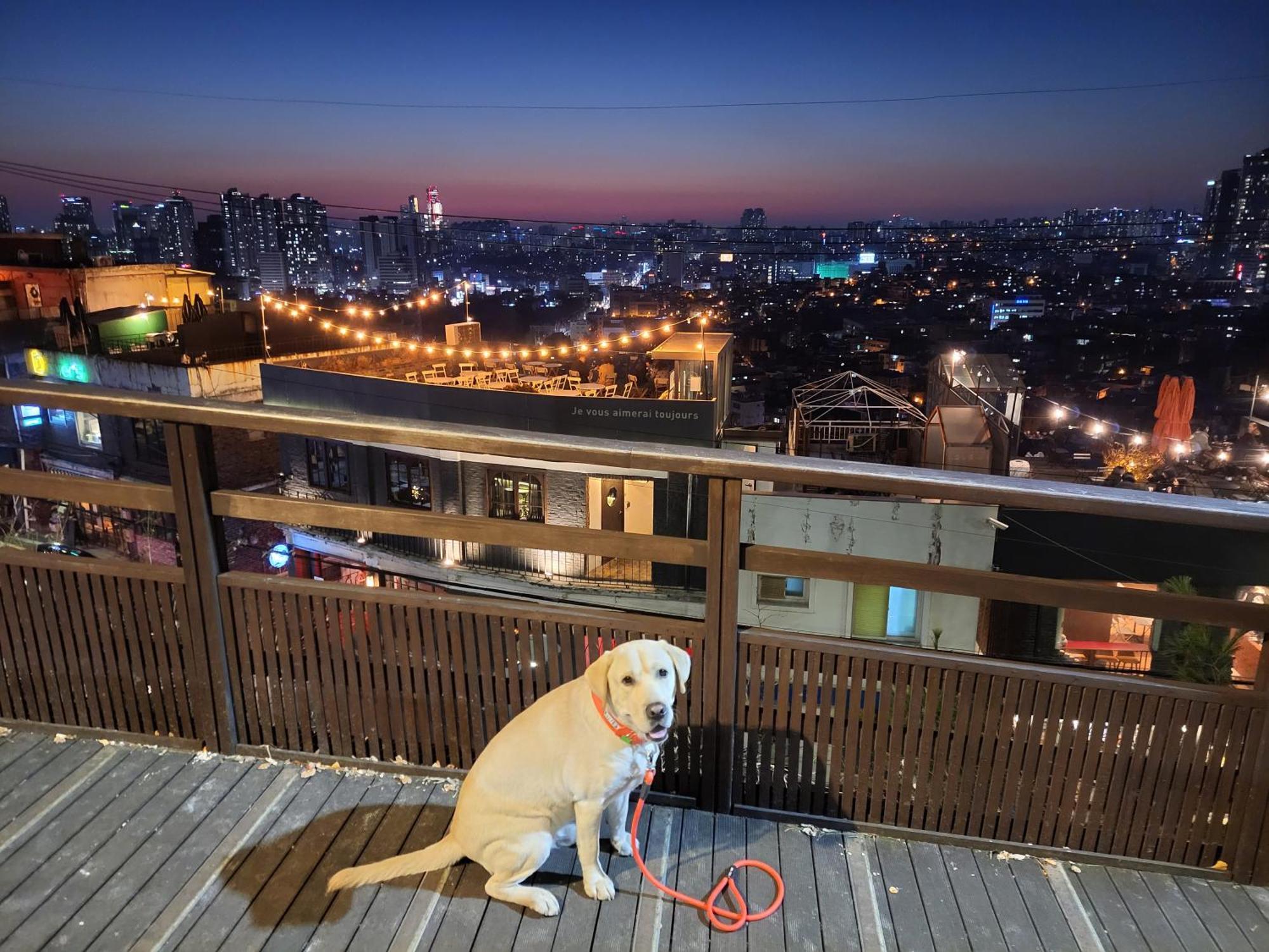 Newly Renovated 2 Bedroom Apartment #7 Seoul Ngoại thất bức ảnh