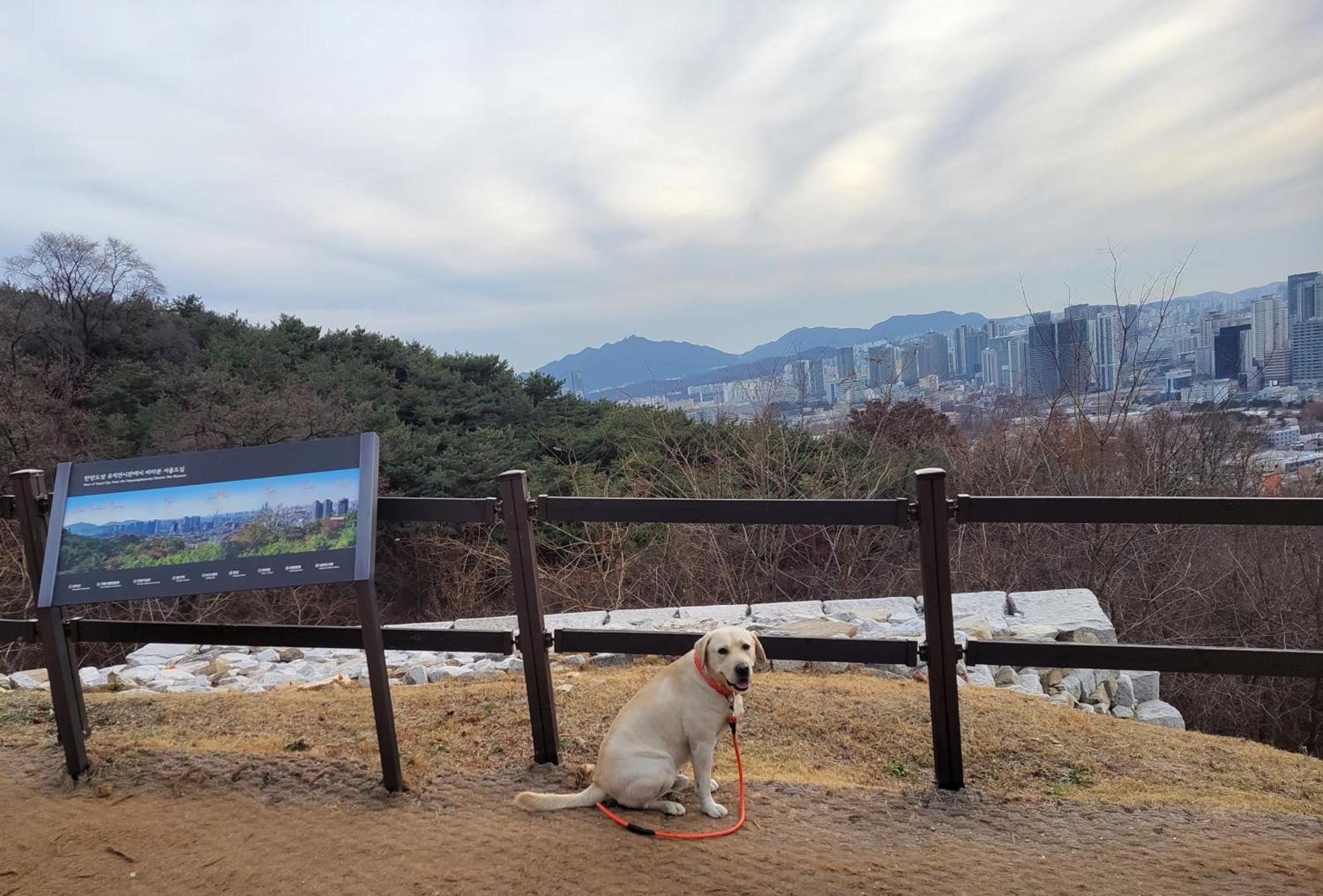 Newly Renovated 2 Bedroom Apartment #7 Seoul Ngoại thất bức ảnh