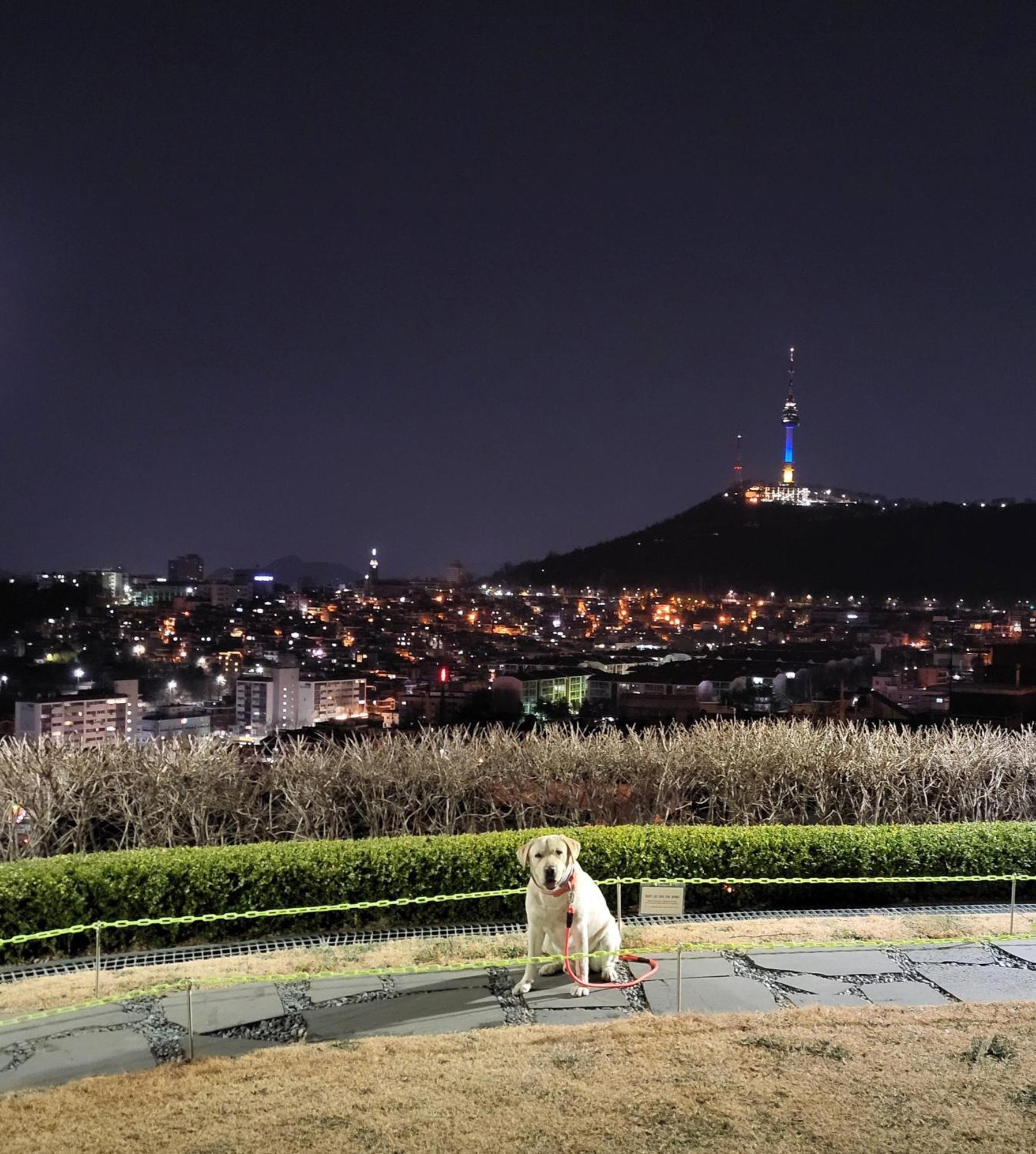 Newly Renovated 2 Bedroom Apartment #7 Seoul Ngoại thất bức ảnh
